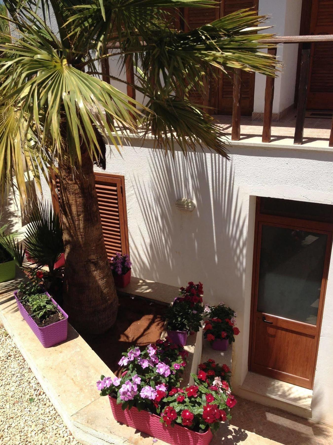 סן ויטו לו קאפו Villa Maria מראה חיצוני תמונה